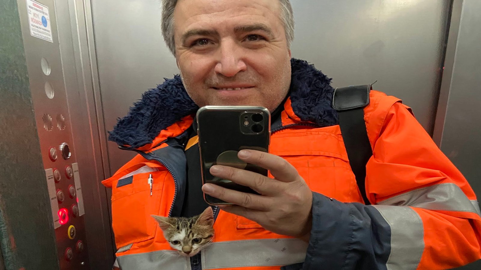 Bir Kedi Gördüm Sanki
